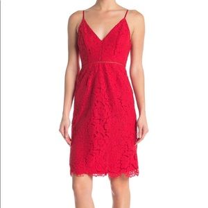 🆕 ASTR the label dress